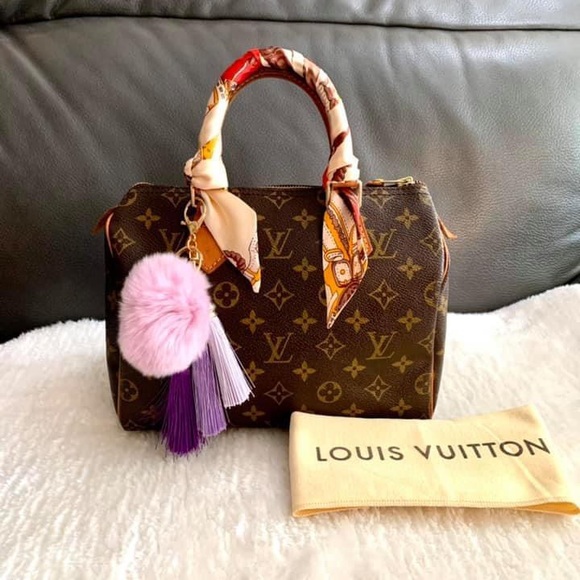Louis Vuitton Handbags - ‼️sold‼️ Louis Vuitton Speedy 25